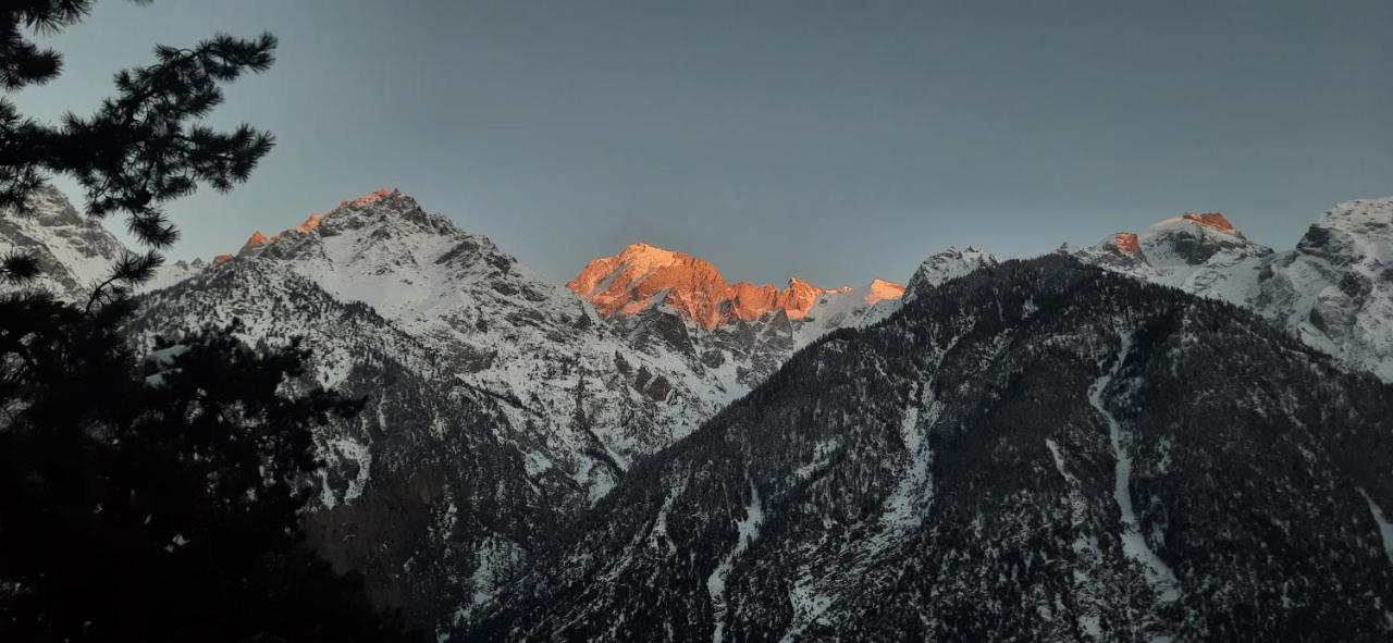 Wanderers Homestay -All Mountain Facing Rooms Kalpa Eksteriør bilde