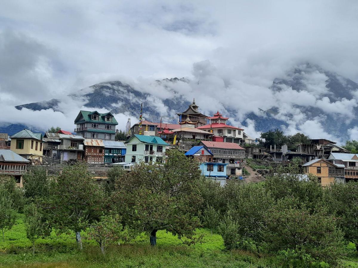 Wanderers Homestay -All Mountain Facing Rooms Kalpa Eksteriør bilde